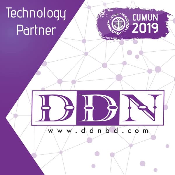 DDN logo